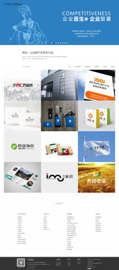 西安最專業企業信息化建設網絡公司——策泉策劃與硅峰網絡